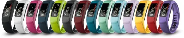Garmin Vivofit 2 2