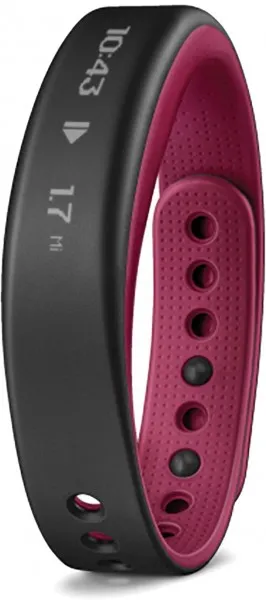 Garmin Vivosmart 2