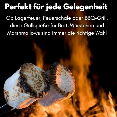 GarPet Grillspieß 5