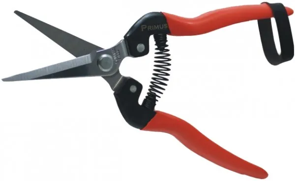 Garten Primus Wunderschere Sommerschere