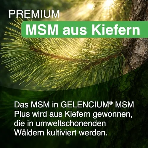 Gelencium MSM Plus 5