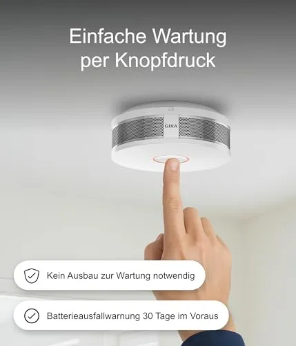 Gira Rauchnmelder Dual Q 6
