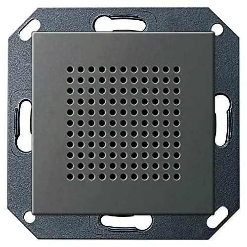 GIRA UP-Radio RDS System 55