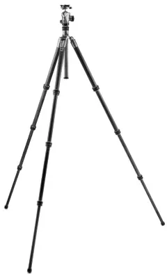 Gitzo Traveler GT2545T 3