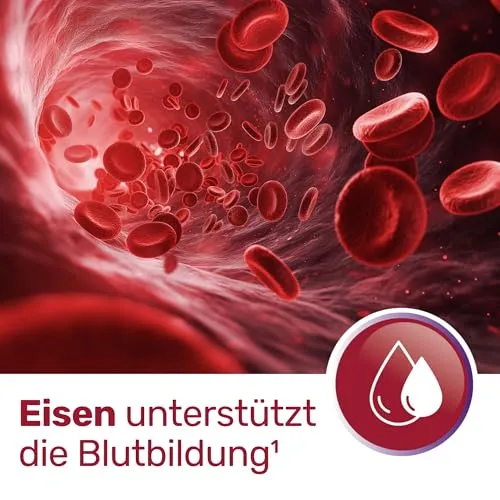 Glycowohl Eisen-Komplex 4