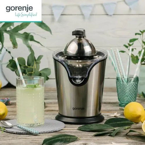 Gorenje CJ100HE 3