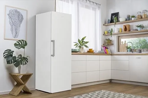 Gorenje R 619 EEW5 6