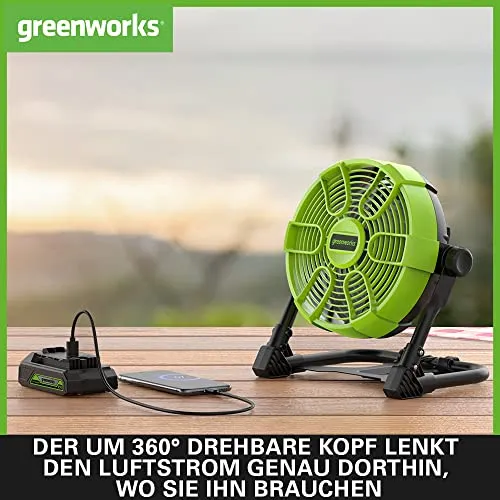 Greenworks G24FAN 3