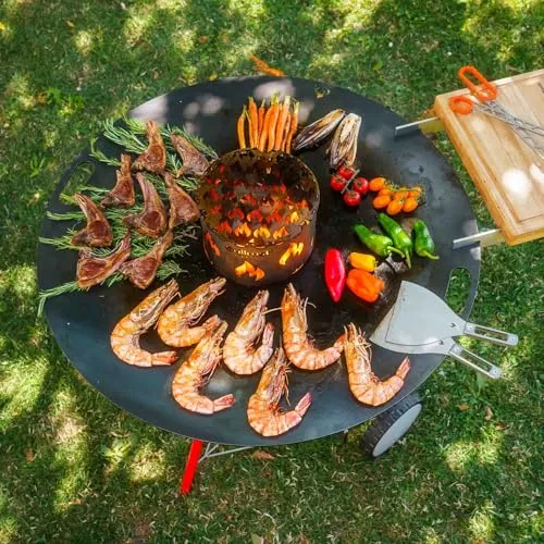 Grillrost.com Das Original Feuerplatte 80cm 5