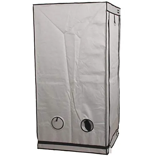 Growboxen Homebox Ambient Q80+ 7