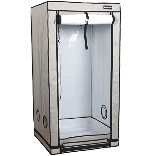 Growboxen Homebox Ambient Q80+ 2
