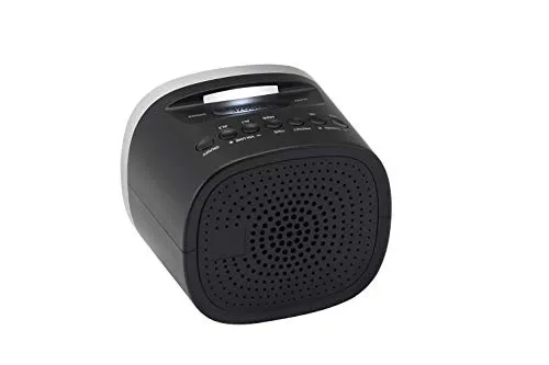 Grundig Sonoclock 2000 2