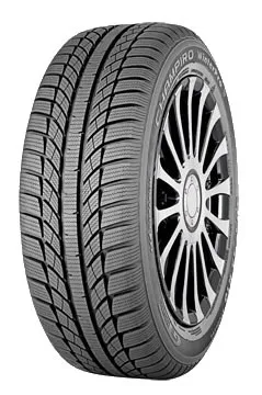 GT Radial Champiro WinterPro (185/60 R15T)