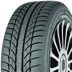 GT Radial Champiro WinterPro (195/65 R15T)