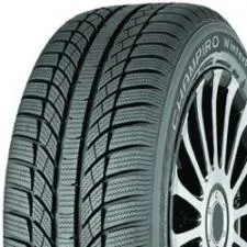 GT Radial Champiro WinterPro (195/65 R15T) 2