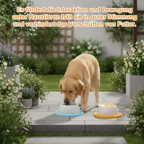 GvRfniT Schleckball UC 4