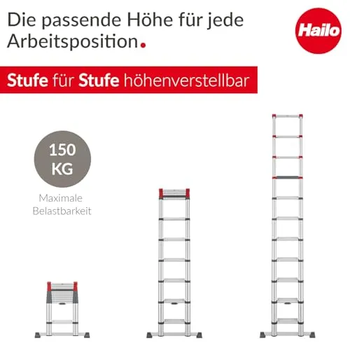 Hailo Master T100 3