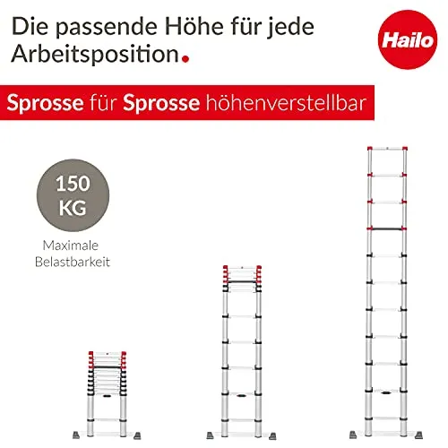 Hailo T80 FlexLine 2