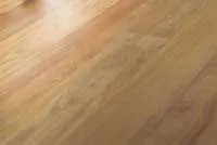 Hain Concerto Mehrblatt classic