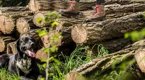 HAIX Nature One GTX 5