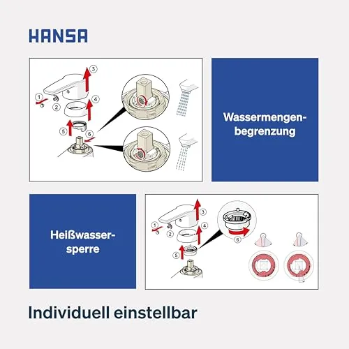 Hansa POLO 6
