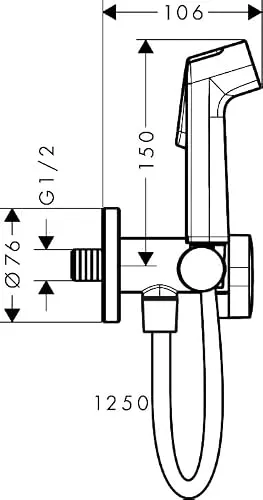 hansgrohe Bidette S 2