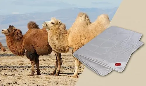 Hefel Pure Camel 4