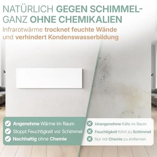 Heidenfeld Schimmel 2