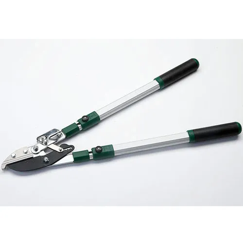 Hellweg Plantiflor Teleskop-Astschere