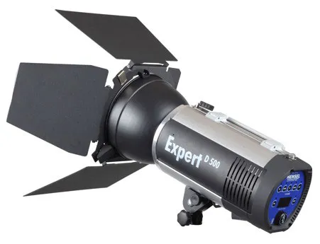 Hensel Expert D 500 3