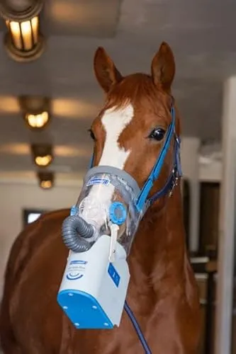 hippomed AirOne Flex 3