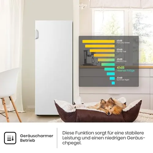 Hisense FV191N4AW2 4