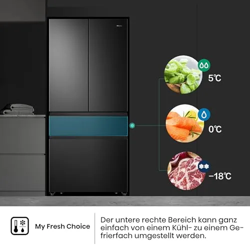 Hisense RF540N4SBF2 4