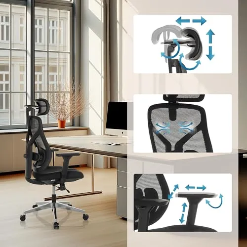 hjh OFFICE CASSILIS B 5