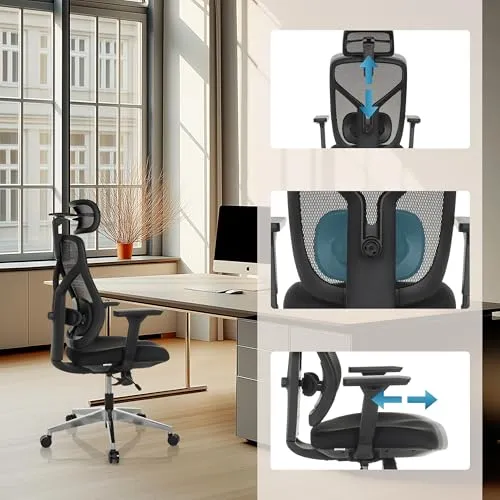 hjh OFFICE CASSILIS B 6