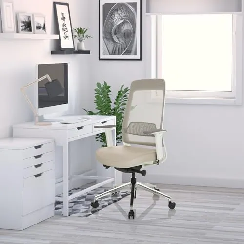 hjh OFFICE CHIARO T2 2