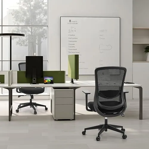 hjh OFFICE Sedito 2