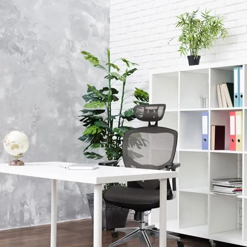 hjh OFFICE Venus ONE 6
