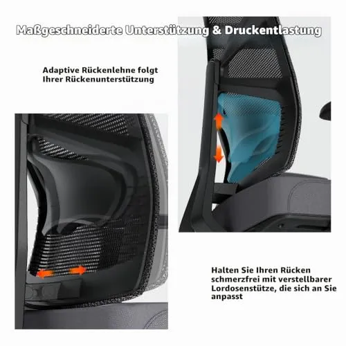 HOLLUDLE Ergonomischer Bürostuhl UC 4