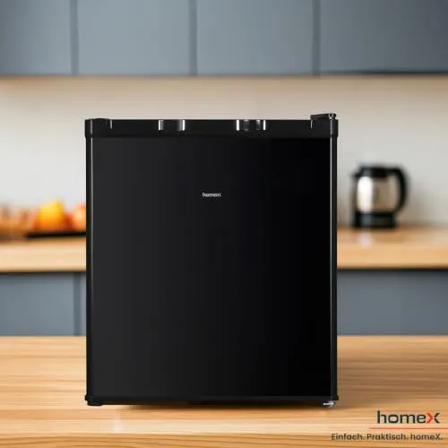 homeX FM1015-B Mini 7