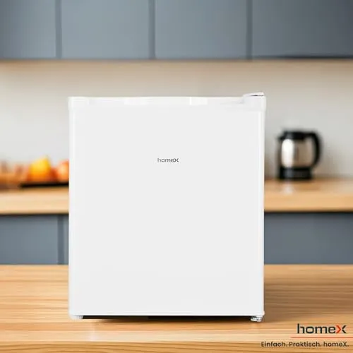 homeX Mini Gefrierschrank