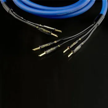 Horn Audiophiles Klangmaster 5