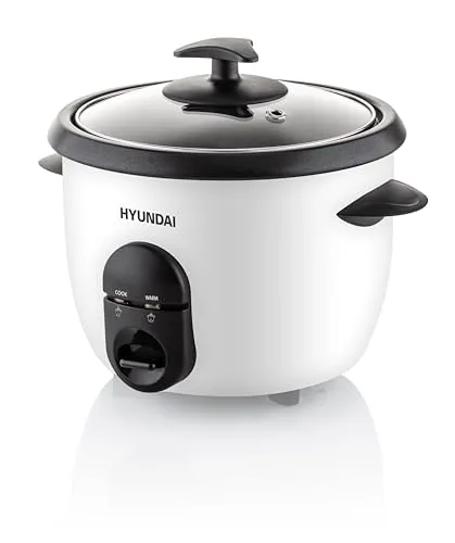 HYUNDAI ELECTRONICS RC100