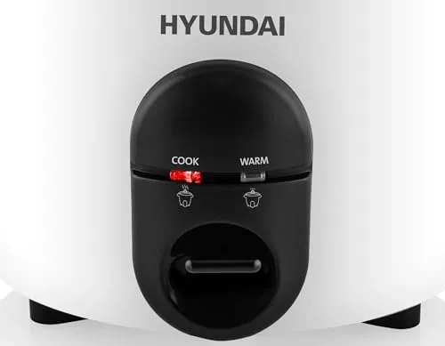 HYUNDAI ELECTRONICS RC100 5