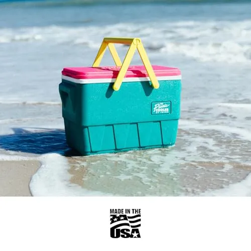 Igloo Retro Picnic Basket 25 3