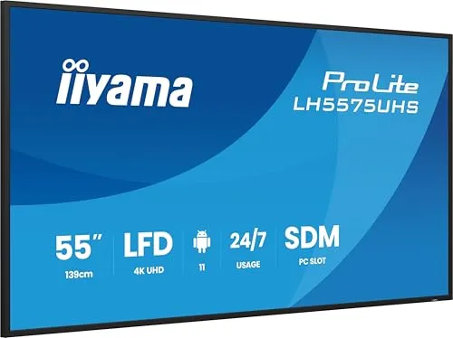iiyama ProLite 55 UC 2