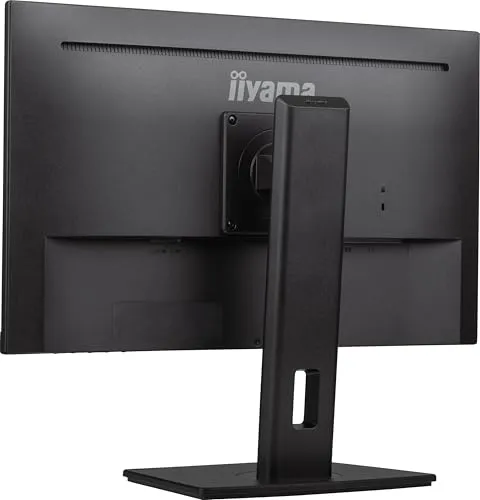 iiyama Prolite XUB2491H-B1 4