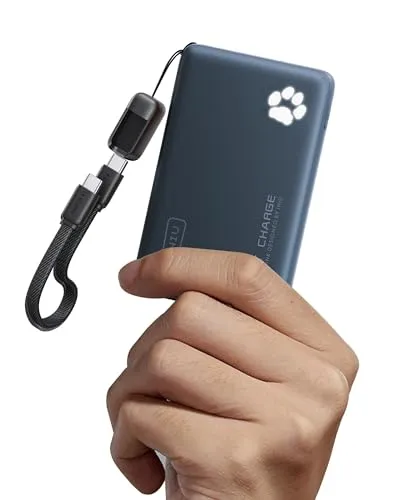 INIU 45W 2