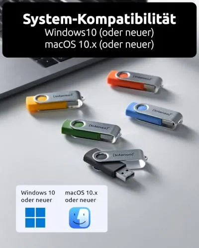 Intenso Basic Line 20x 4GB 6