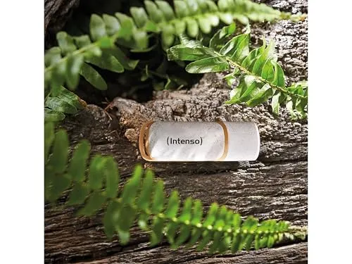 Intenso Green Line 32GB 6